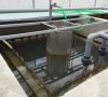 Công nghệ xử lý nitơ trong nước thải